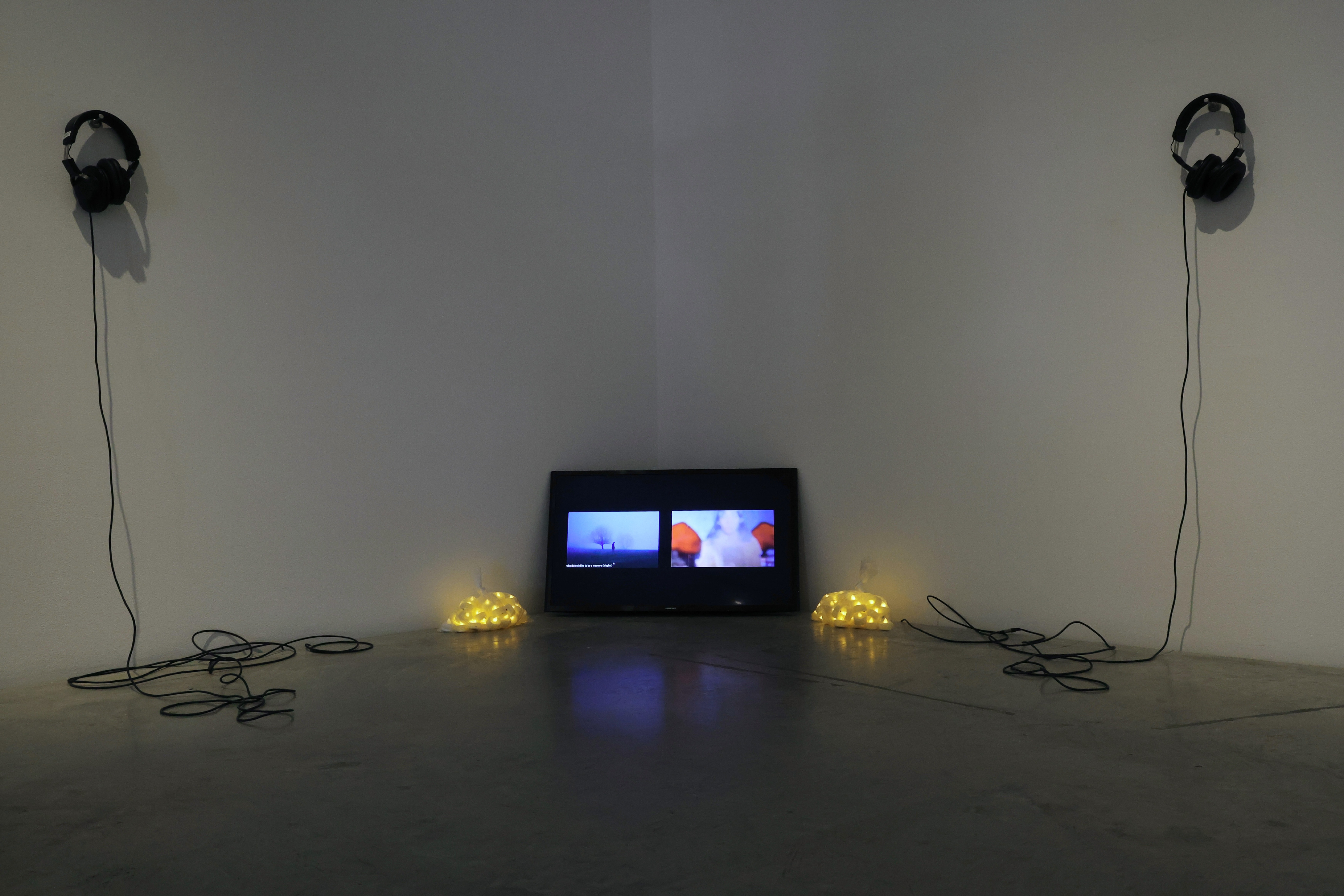 Installation shot