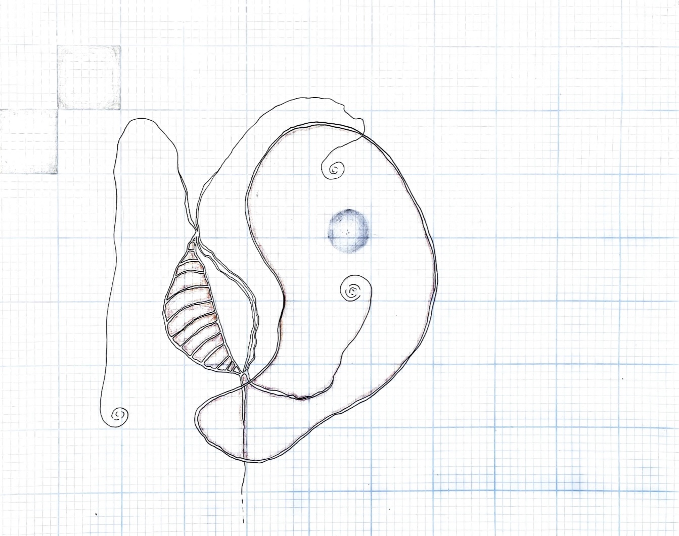 line drawing on paper