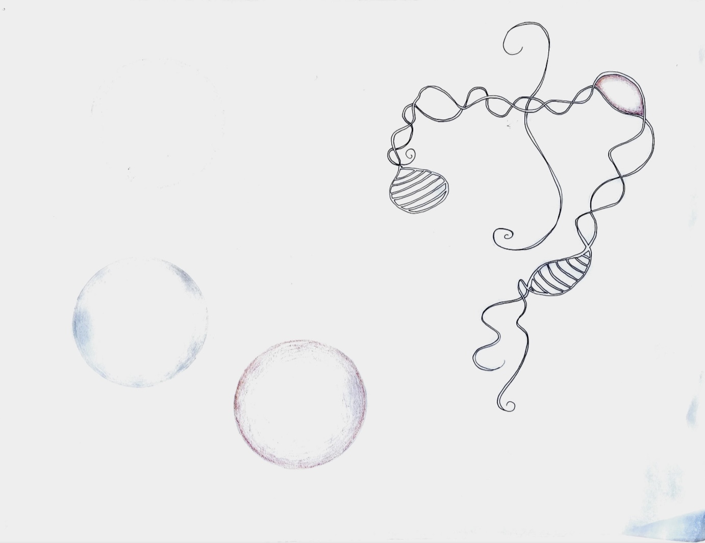 line drawing on paper